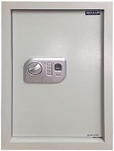 Hollon Safe WS-BIO-1 In Wall Safe, White, Small